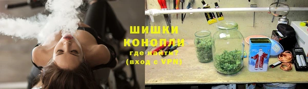 apvp Богородицк