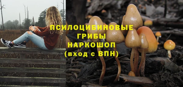 круглые Богданович