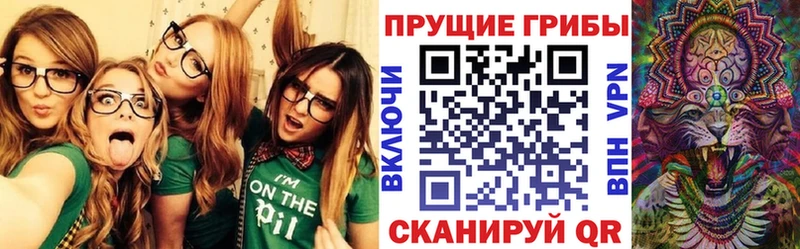 наркотики  Тотьма  omg ONION  Галлюциногенные грибы Psilocybe 